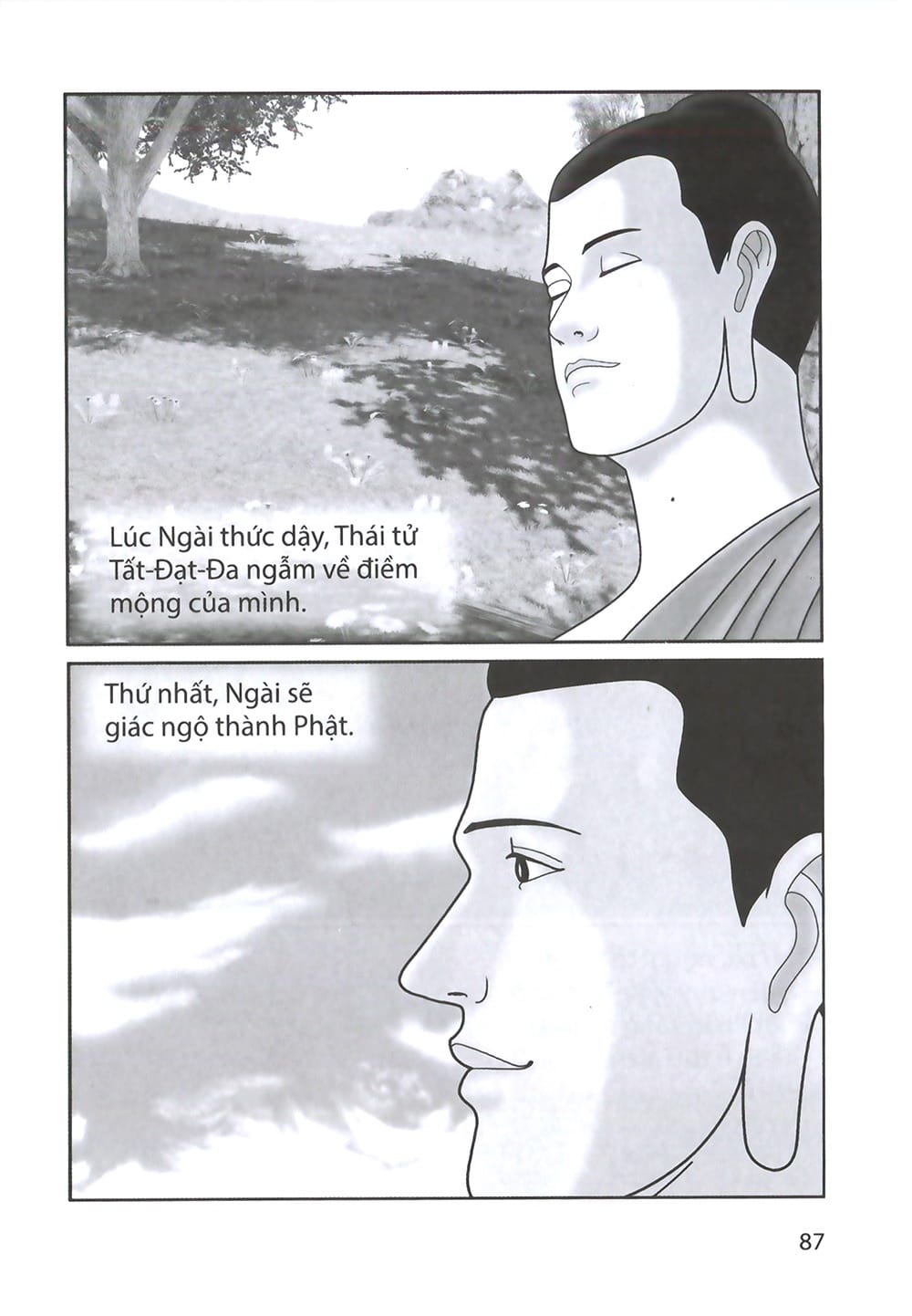 Đức Phật Thích Ca - Từ Sơ Sanh Đến Xuất Gia - Tập 1