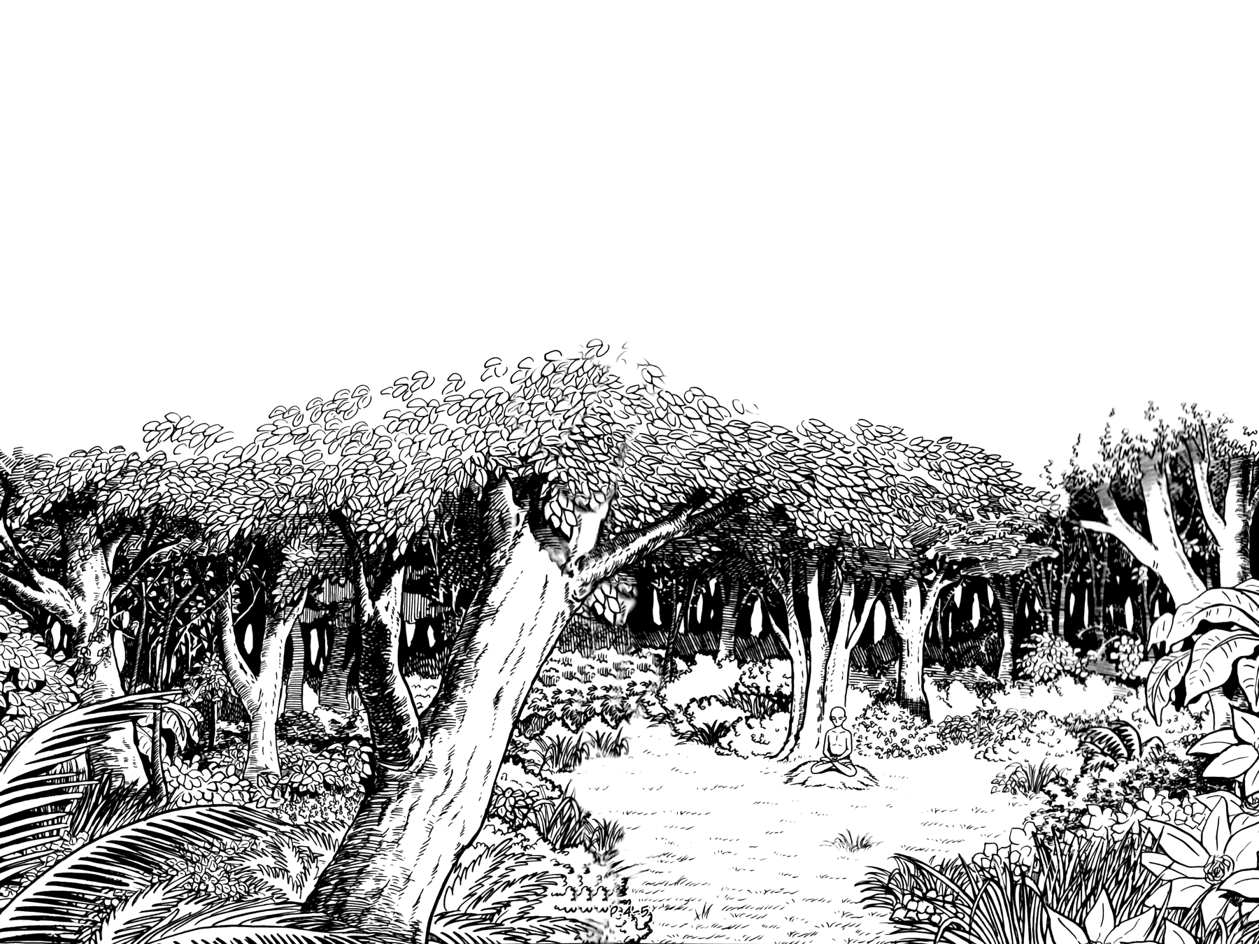 Lịch Sử Đức Phật - Tập 2 - Giác Ngộ