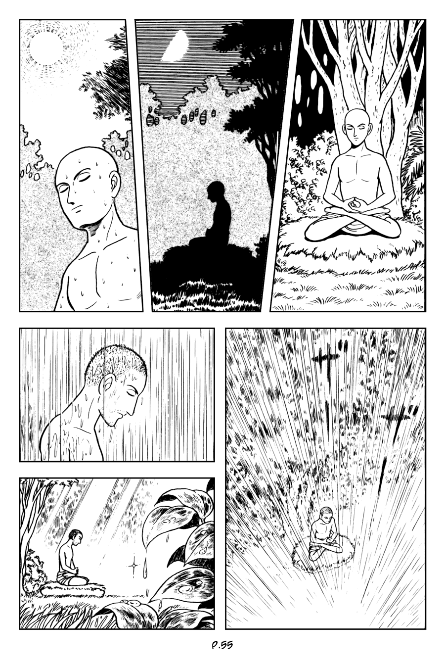 Lịch Sử Đức Phật - Tập 2 - Giác Ngộ