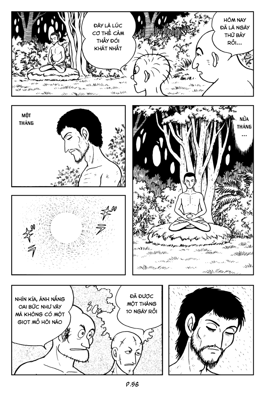 Lịch Sử Đức Phật - Tập 2 - Giác Ngộ