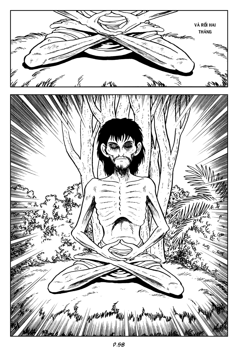 Lịch Sử Đức Phật - Tập 2 - Giác Ngộ