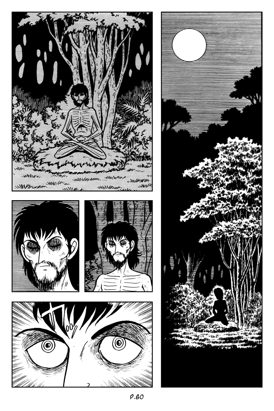 Lịch Sử Đức Phật - Tập 2 - Giác Ngộ