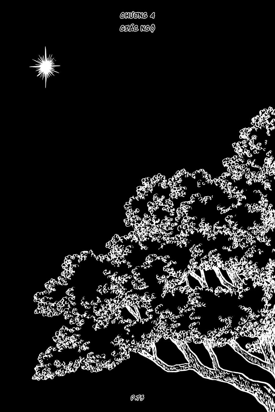 Lịch Sử Đức Phật - Tập 2 - Giác Ngộ