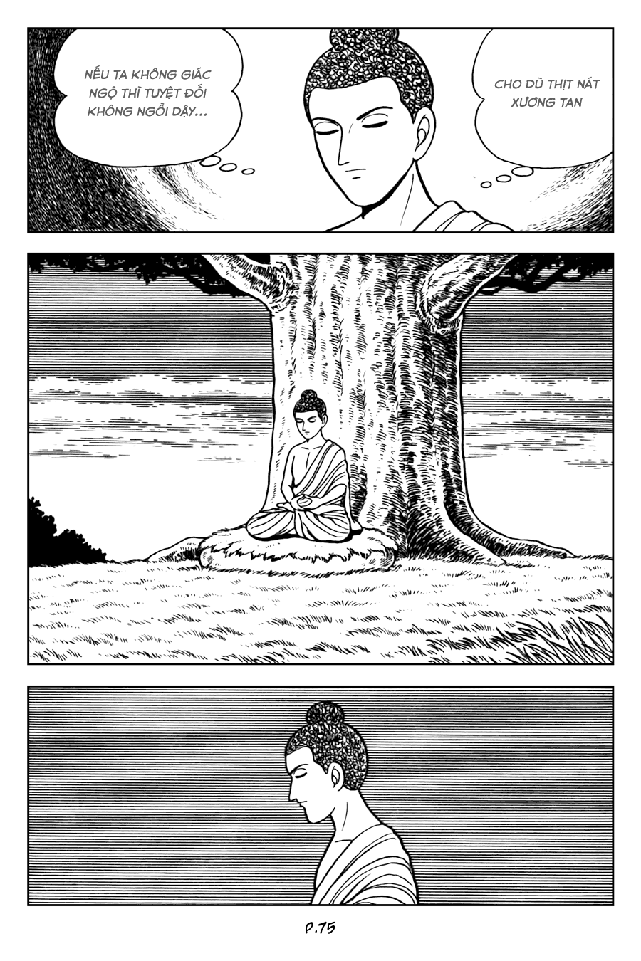 Lịch Sử Đức Phật - Tập 2 - Giác Ngộ