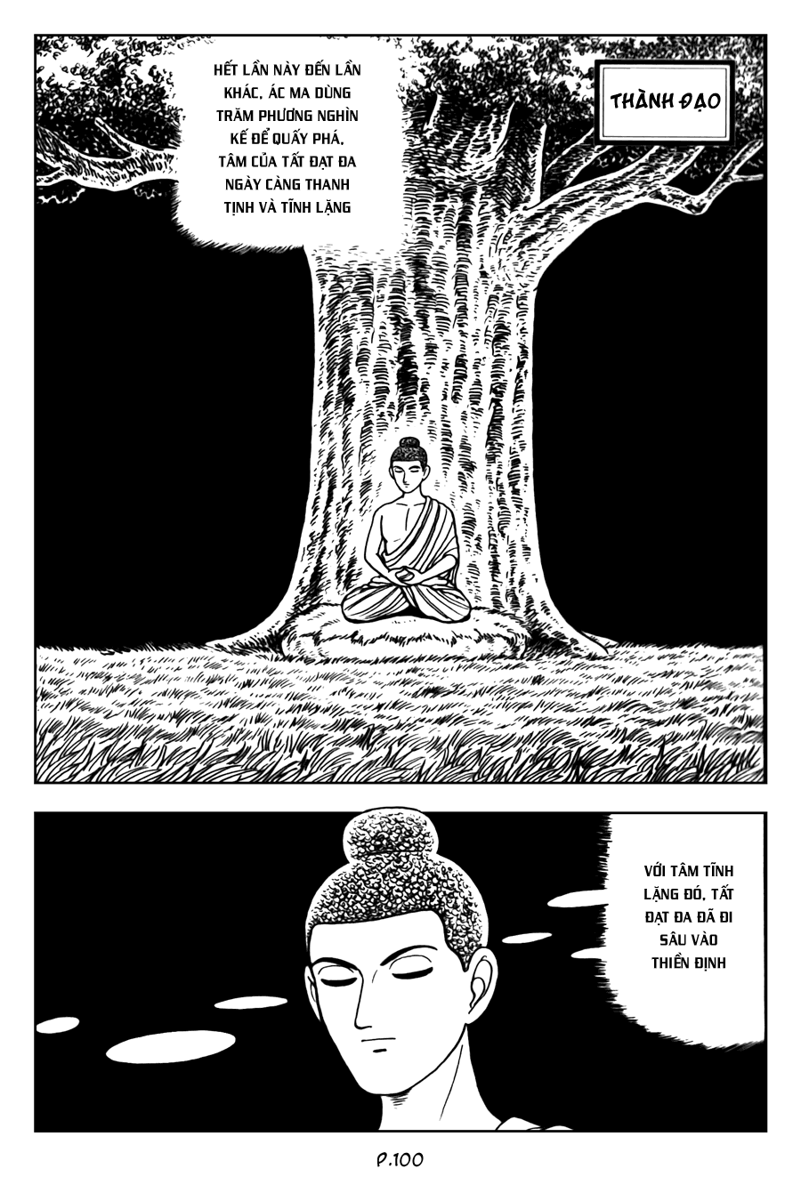 Lịch Sử Đức Phật - Tập 2 - Giác Ngộ