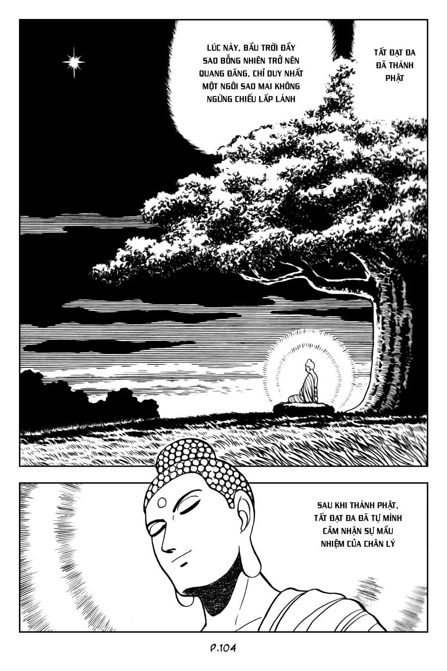 Lịch Sử Đức Phật - Tập 2 - Giác Ngộ