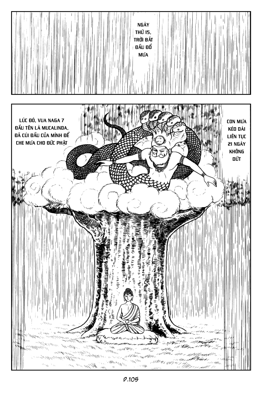 Lịch Sử Đức Phật - Tập 2 - Giác Ngộ