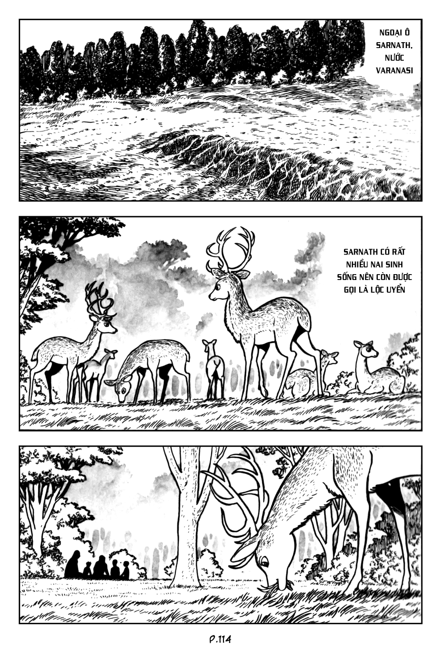 Lịch Sử Đức Phật - Tập 2 - Giác Ngộ