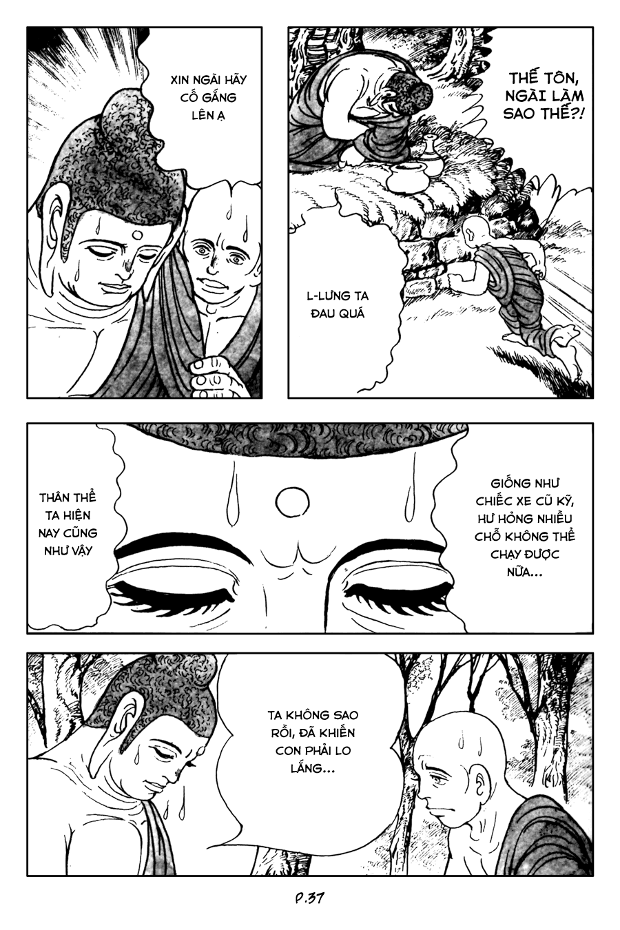 Lịch Sử Đức Phật - Tập 3 - Hành Trình Cuối Cùng