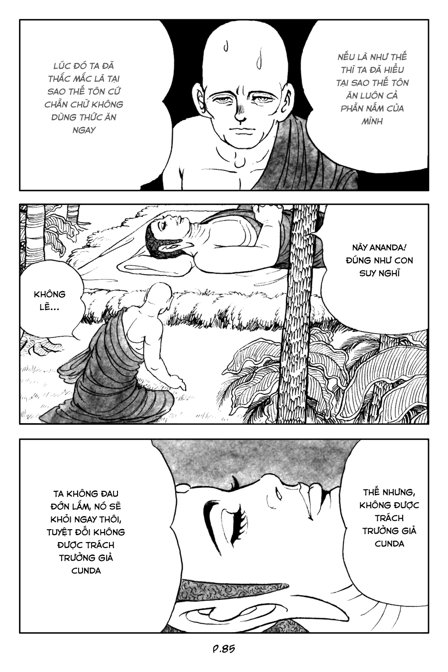 Lịch Sử Đức Phật - Tập 3 - Hành Trình Cuối Cùng