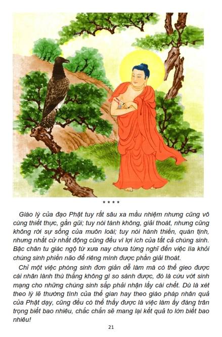Cứu Vật Phóng Sanh