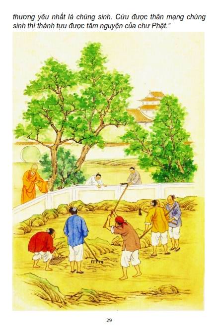 Cứu Vật Phóng Sanh