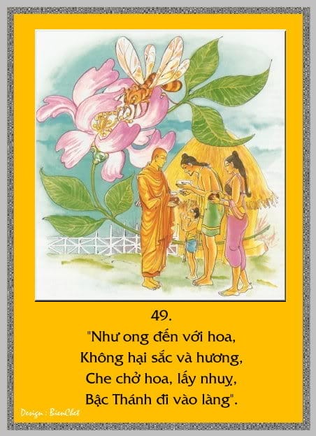 Kinh Pháp Cú - Thích Minh Châu dịch