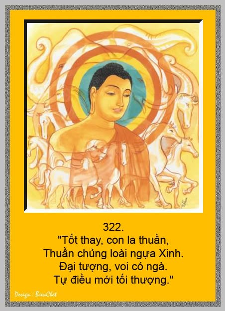 Kinh Pháp Cú - Thích Minh Châu dịch