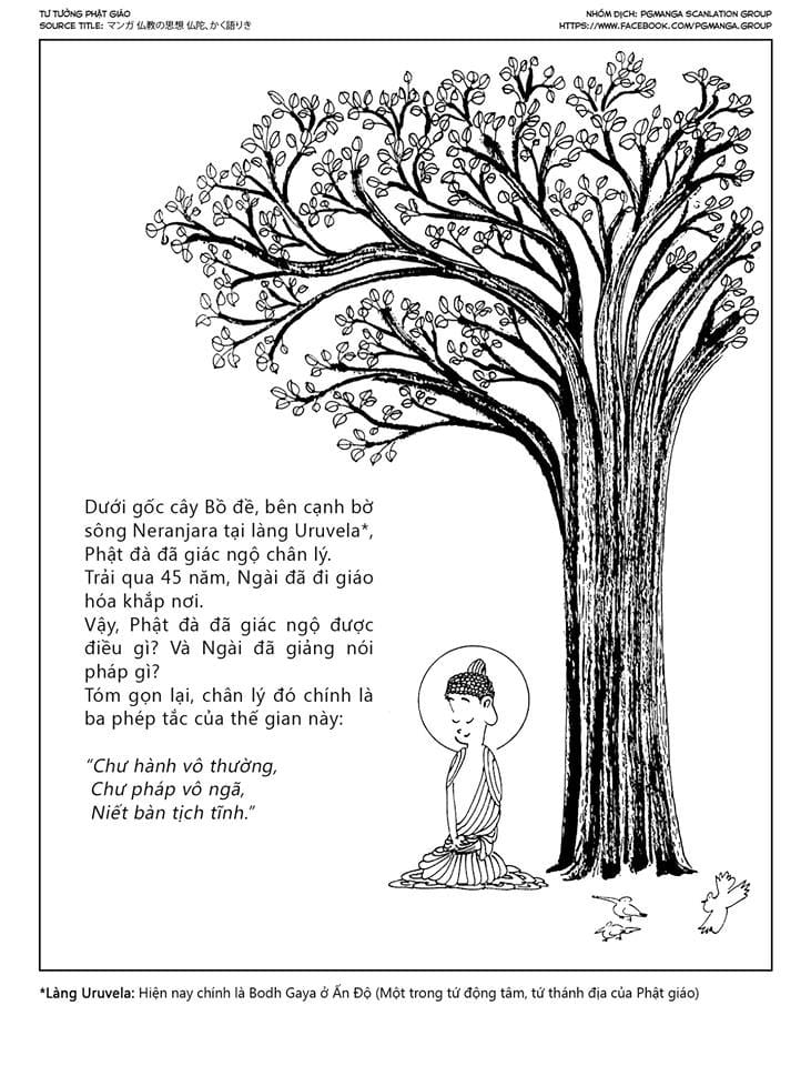 Tư Tưởng Phật Giáo