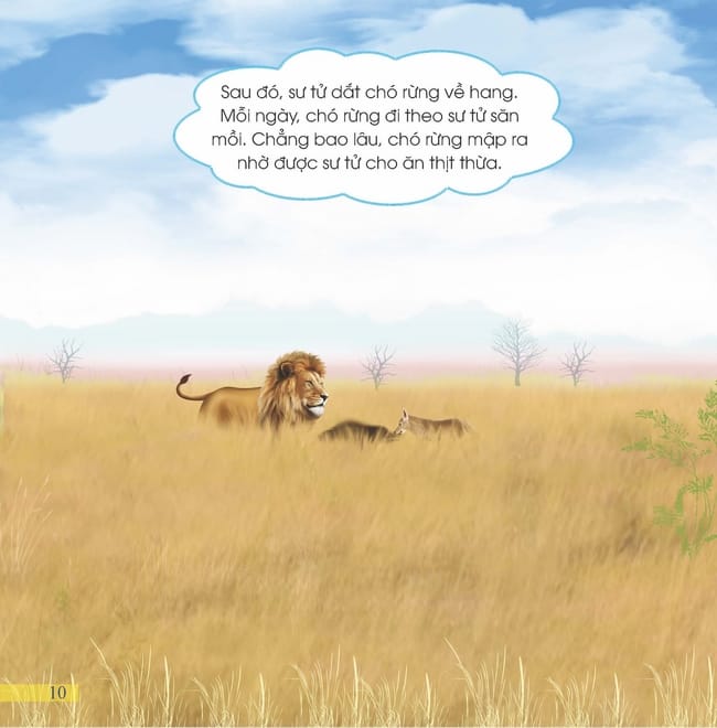 Chó Rừng Tự Kiêu