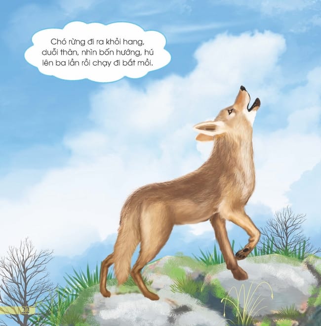 Chó Rừng Tự Kiêu