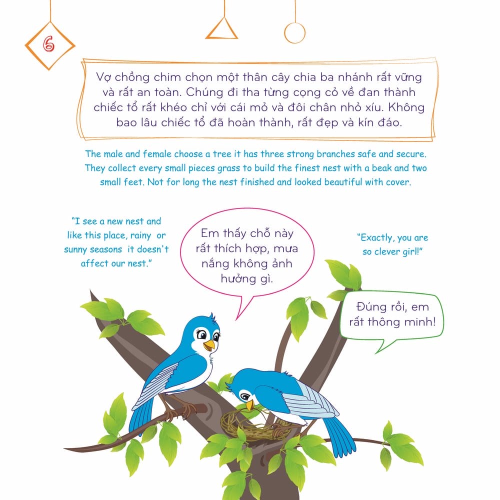 Chim Con Chết Đói