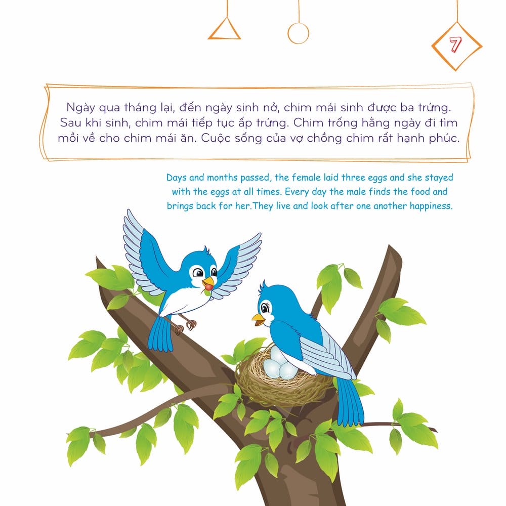 Chim Con Chết Đói