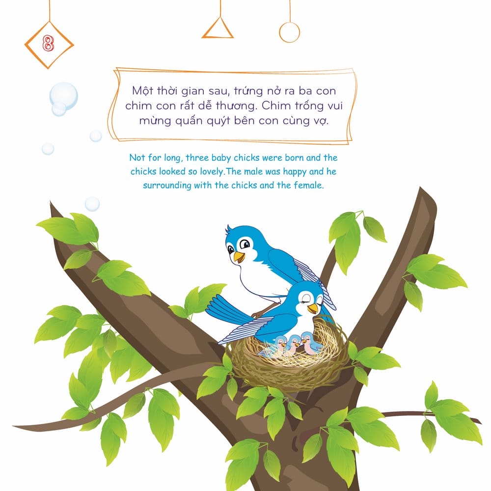 Chim Con Chết Đói