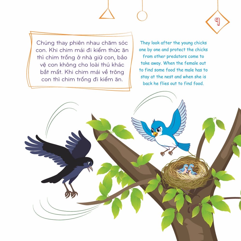 Chim Con Chết Đói