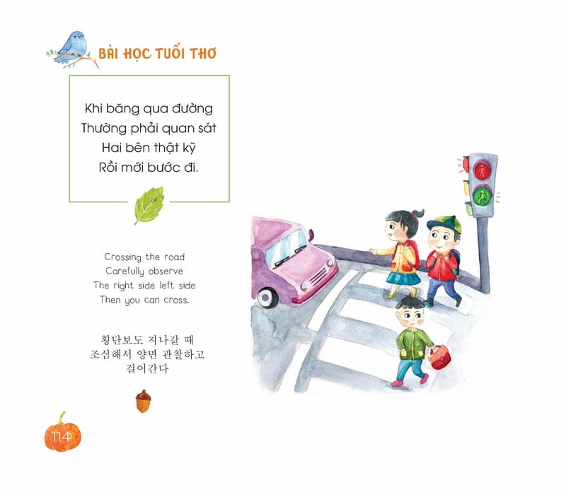 Bài Học Tuổi Thơ