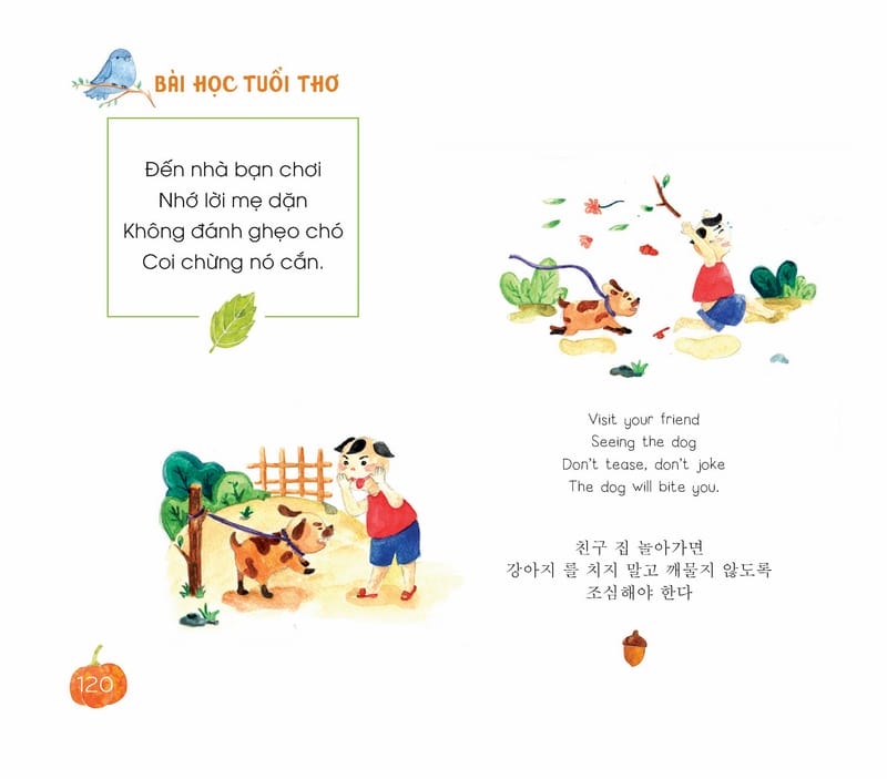 Bài Học Tuổi Thơ