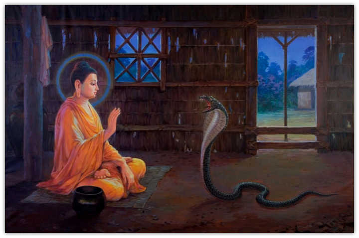 Cuộc Đời Đức Phật Qua Tranh Vẽ