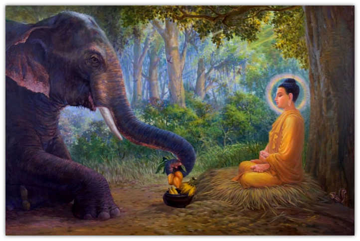 Cuộc Đời Đức Phật Qua Tranh Vẽ