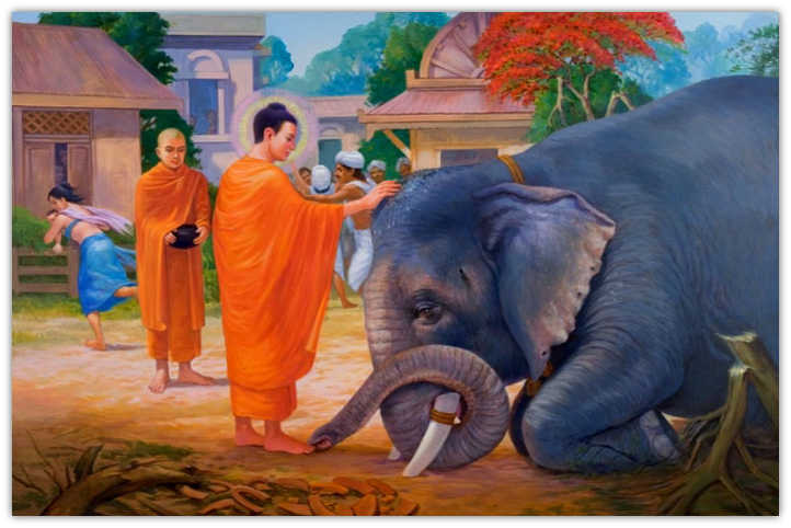 Cuộc Đời Đức Phật Qua Tranh Vẽ