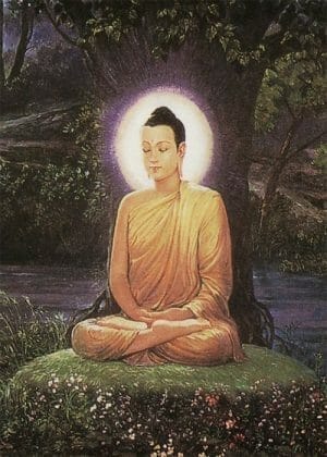 Life of the Buddha (Tiếng Việt)